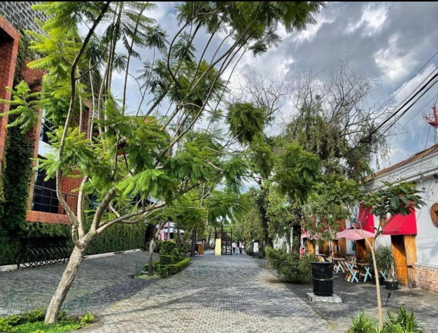 Citadin Hotel Guatemala City Екстер'єр фото